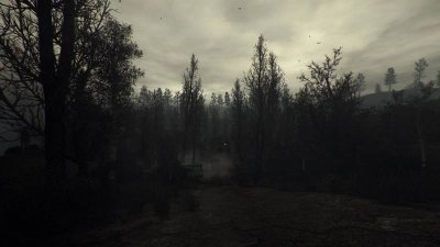 Сталкер Тень Чернобыля Darkest Time